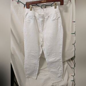 Boston Proper Ankle Pants SZ 10